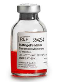 Corning Matrigel Matrix