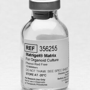 Corning Matrigel Matrix for Organoid Culture