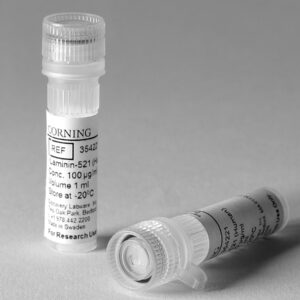 Corning® rLaminin-521 (Human)