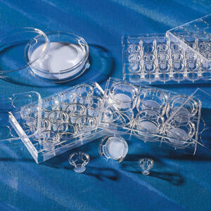 Corning® Transwell® Permeable Supports, Polycarbonate (PC) Membrane