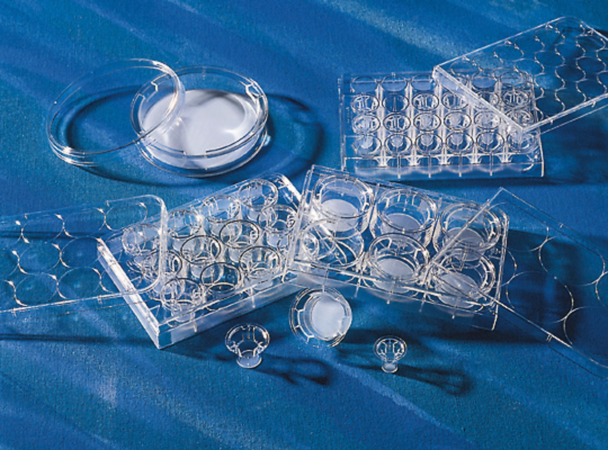 Corning® Transwell® Permeable Supports, Polycarbonate (PC) Membrane