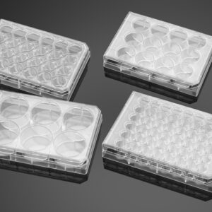 Corning® BioCoat® Fibrillar Collagen I 24-Multiwell Insert Systems, PET Membrane, with feeder tray and lid