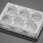 Corning® BioCoat® Matrigel® Matrix Plates