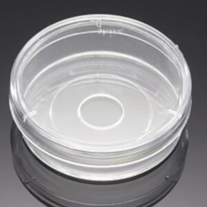 Corning® BioCoat® Poly-D-Lysine Coverslips