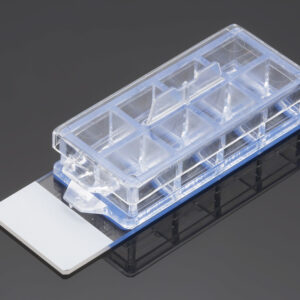 Corning® BioCoat® Poly-D-LysineLaminin 8-well Culture Slide, 3Pack, 12Case