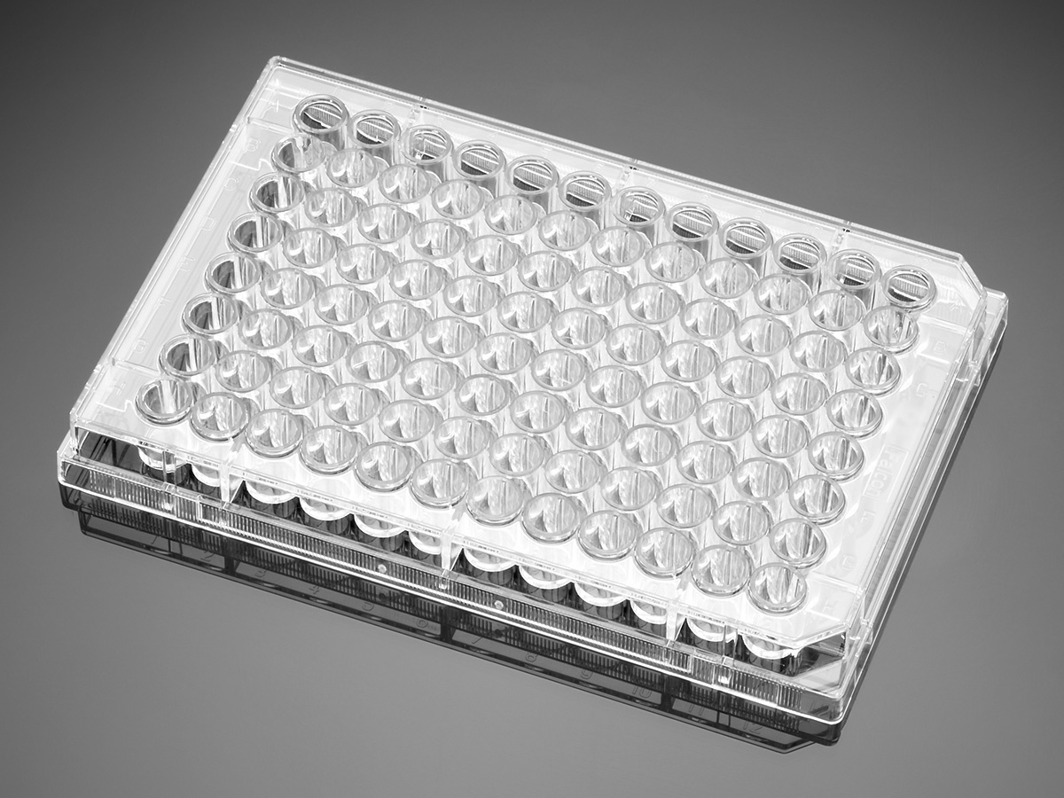 Corning® BioCoat® Poly-L-Lysine-coated Microplates
