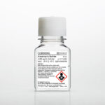 Corning® 50 mL Kanamycin Sulfate, Liquid