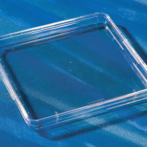 Corning® 245mm Square BioAssay Dishes