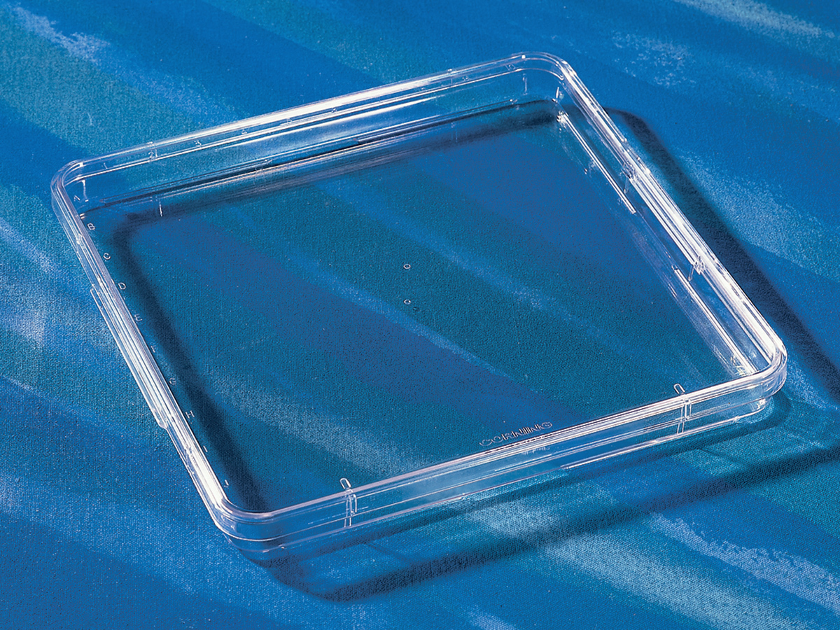 Corning® 245mm Square BioAssay Dishes
