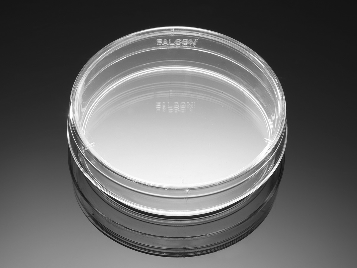 Corning® BioCoat® Poly-L-Lysine-coated Culture Dishes