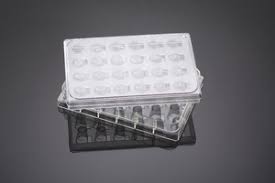 Corning® BioCoat® HTS Caco-2 Assay System, PET Membrane