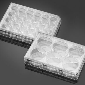 Corning® BioCoat® Poly-L-OrnithineLaminin Plates