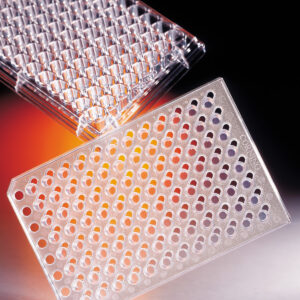 Corning® HTS Transwell® 96-well Permeable Support