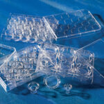 Transwell®-COL Collagen-coated Inserts, PTFE Membrane