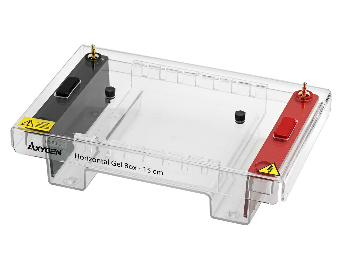 Axygen® Horizontal Gel Boxes