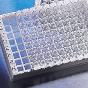 Corning® 96-well Stripwell™ Egg Crate Strip Holder