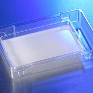 Corning® Transwell® Large Format Insert, 100 cm², Tissue Culture-treated, 0.4 µm Pore Size, with Tray and Lid