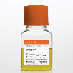 Corning® 50 mL Amphotericin B, Liquid